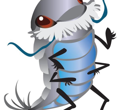 Pest King - Burleigh Heads, QLD