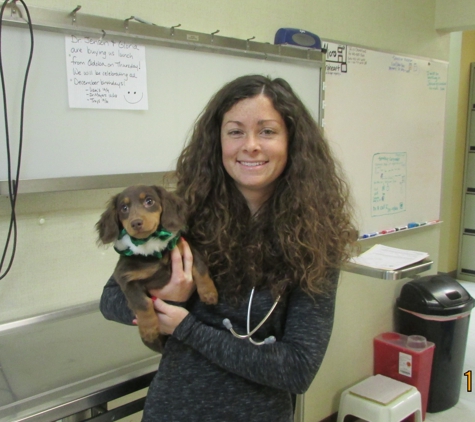 Prairie Lane Veterinary Hospital - Omaha, NE