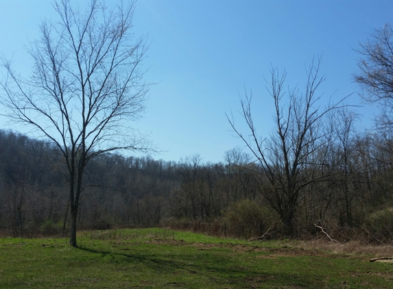 "Camp Cabin Creek" - Saint Clairsville, OH. Front of your RV view. More grass than gravel !!