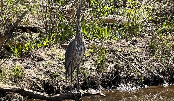 Occoquan Bay Refuge - Woodbridge, VA