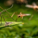 Clark Exterminators - Pest Control Equipment & Supplies