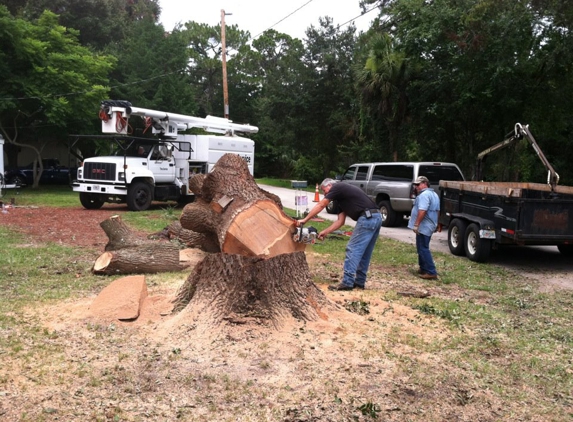 Wise Tree Service LLC - Daytona Beach, FL