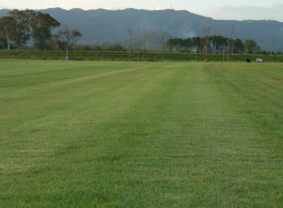 Banksia Turf - Upper Lansdowne, NSW