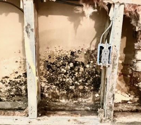 Idry Columbus-Water Damage Cleanup - Columbus, OH