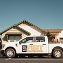 Black Sheep Pest Protection - Pest Control Services
