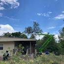 Eagle Tree & Lawn Care - Tree Service