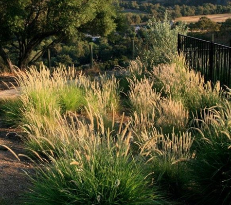 Mozaic Landscapes - Sunol, CA