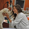 Veterinary Specialty and Emergency Center of Thousand Oaks gallery