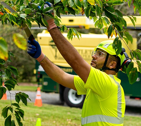 Bartlett Tree Experts - Wake Forest, NC - Wake Forest, NC