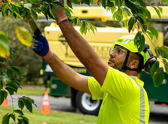 Bartlett Tree Experts - San Marcos, TX - San Marcos, TX