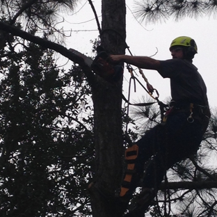 KDT Tree Service - Fern Park, FL