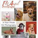 Pet Angel Santa Fe - Pet Specialty Services