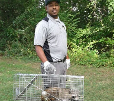 Nest Pest Control Washington DC - Washington, DC