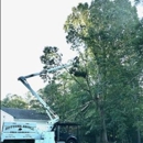 Bottoms Bridge Tree Service inc
