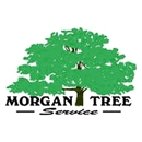 Morgan  Tree Service - Stump Removal & Grinding