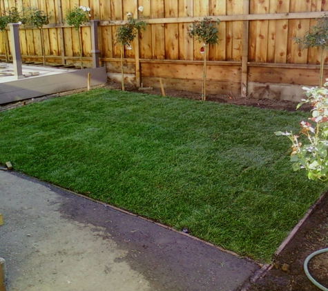 Sod and Seed - Martinez, CA