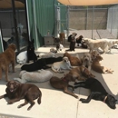 Tailwaggers Doggy Daycare - Pet Boarding & Kennels