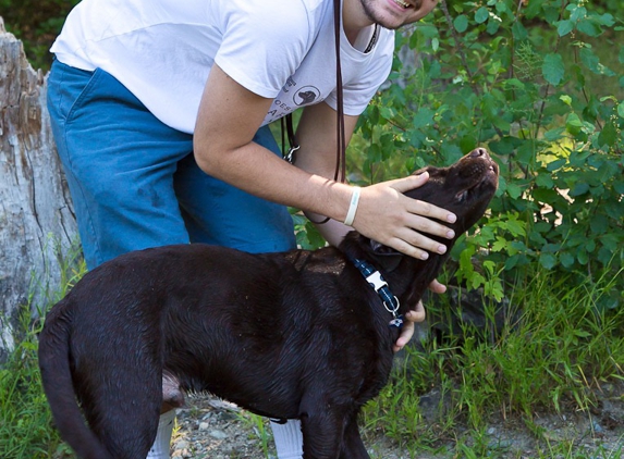 Paws Out, LLC Dog Walking - Natick, MA