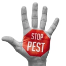 Universal Pest & Termite - Pest Control Services