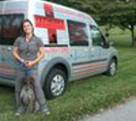 Vetmedics  Inc - Fishkill, NY