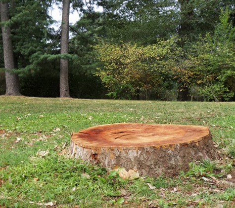 Pittsburgh Tree Trimming & Removal Service - Pittsburgh, PA. Tree Stump Removal Pittsburgh