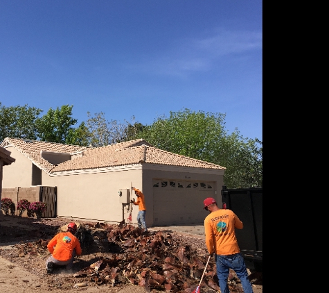 Goodyear Tree Service - Goodyear, AZ