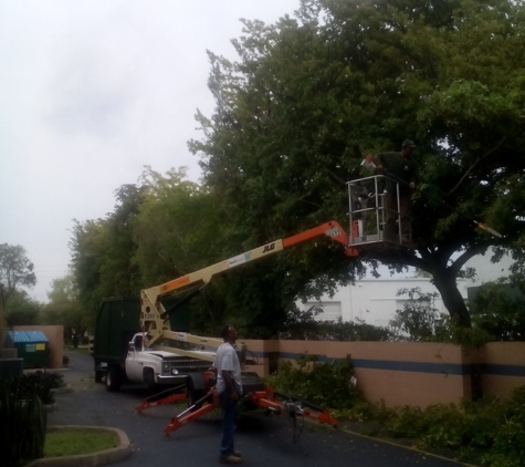 Pete's Landscaping & Tree Service Inc. - Miami Springs, FL