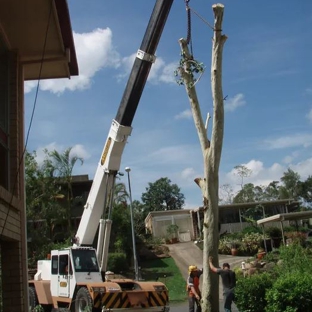 Arborforce - Warner, QLD