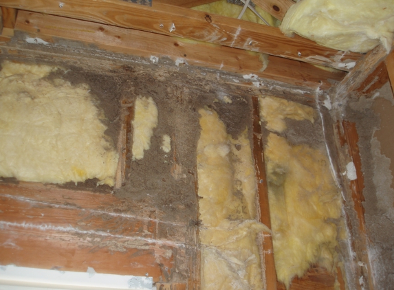 Lightning Termite & Pest Control LLC - Goose Creek, SC. The extensive termite damage was uncovered in our house. It was inspected by this company for 16 yrs. Dishonest is their middle name.