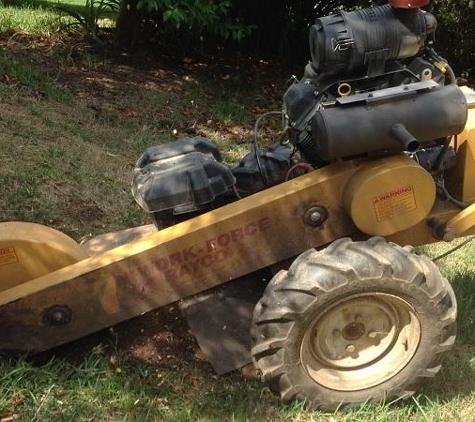Albury Wodonga Tree & Stump Removal - Staghorn Flat, VIC