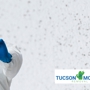 Tucson Mold Removal Pros