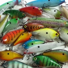 Bodacious Bass Baits