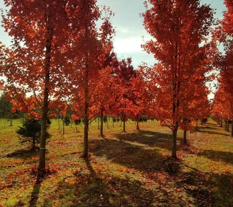 Paul Tree Farms - Pleasant Plains, IL