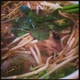 The Pho Shop