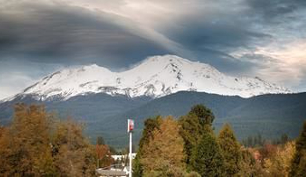 Best Western Plus Tree House - Mount Shasta, CA