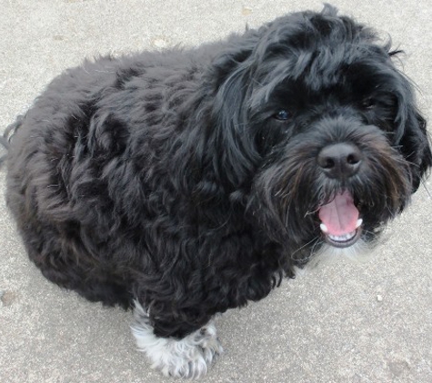 Petco - Walker, MI. Before