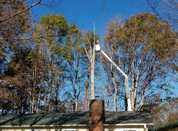 Curtis Tree Service - Kernersville, NC