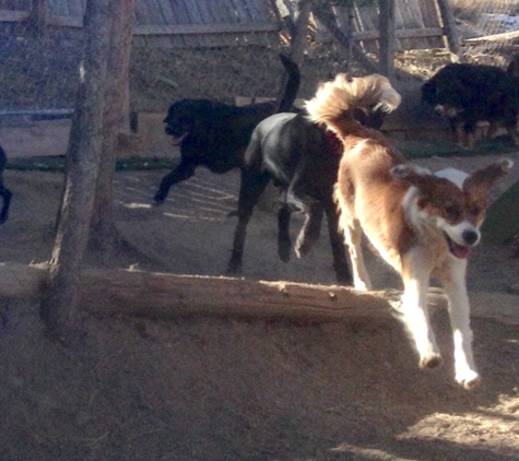 Howling Wolf Kennels - Evergreen, CO