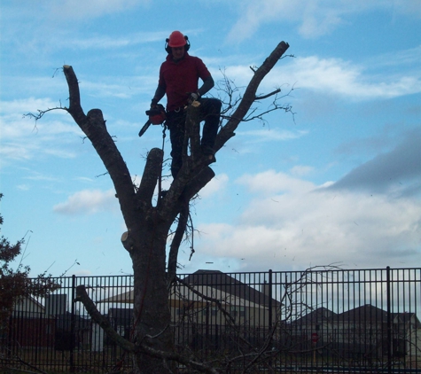 Hook And Ladder Tree Service - Temple, TX. www.hookandladdertree.com