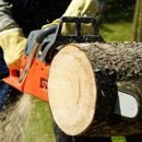 All Around Stump Grinding - Tree Service