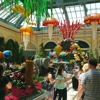 Bellagio Hotel & Casino gallery