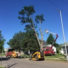 Robs Tree Service