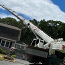 Martel Crane Service & Tree Removal - Tree Service