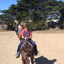 Mar Vista Stable - Stables