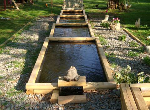 Mountain Top Koi Farm - New Milford, PA