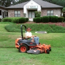 Mr Tree and Lawn Service - Tree Service