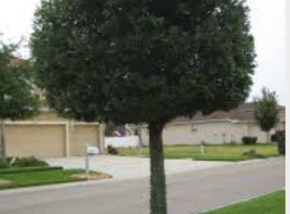 A1 Tree Specialists - Harker Heights, TX