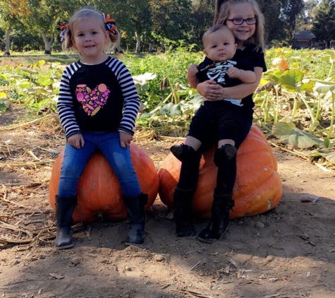 Bishop's Pumpkin Farm - Wheatland, CA. Pumpkin patch fun