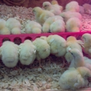 C-A-L Ranch Stores - Farm Supplies