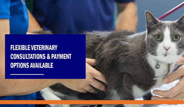 My Vets Thornton - Thornton, NSW. Flexible Veterinary Consultations & Payment Options available.